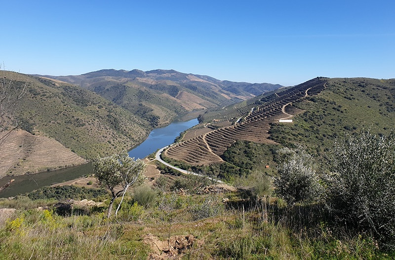 Vale do Côa