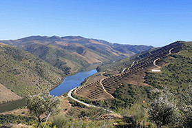 Vale do Côa