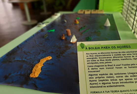 Florestas: Refúgios de Biodiversidade