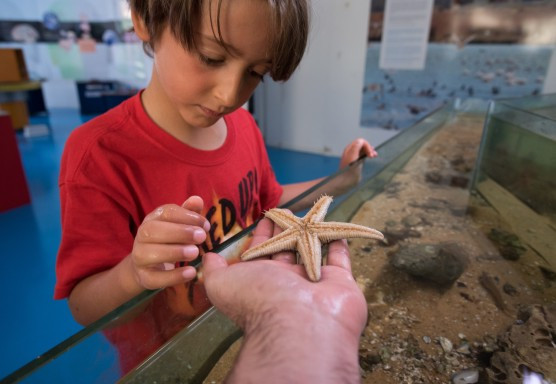 Das Estrelas às Estrelas