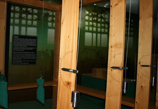 Floresta, Fonte de Bem-estar, Vida e Riqueza