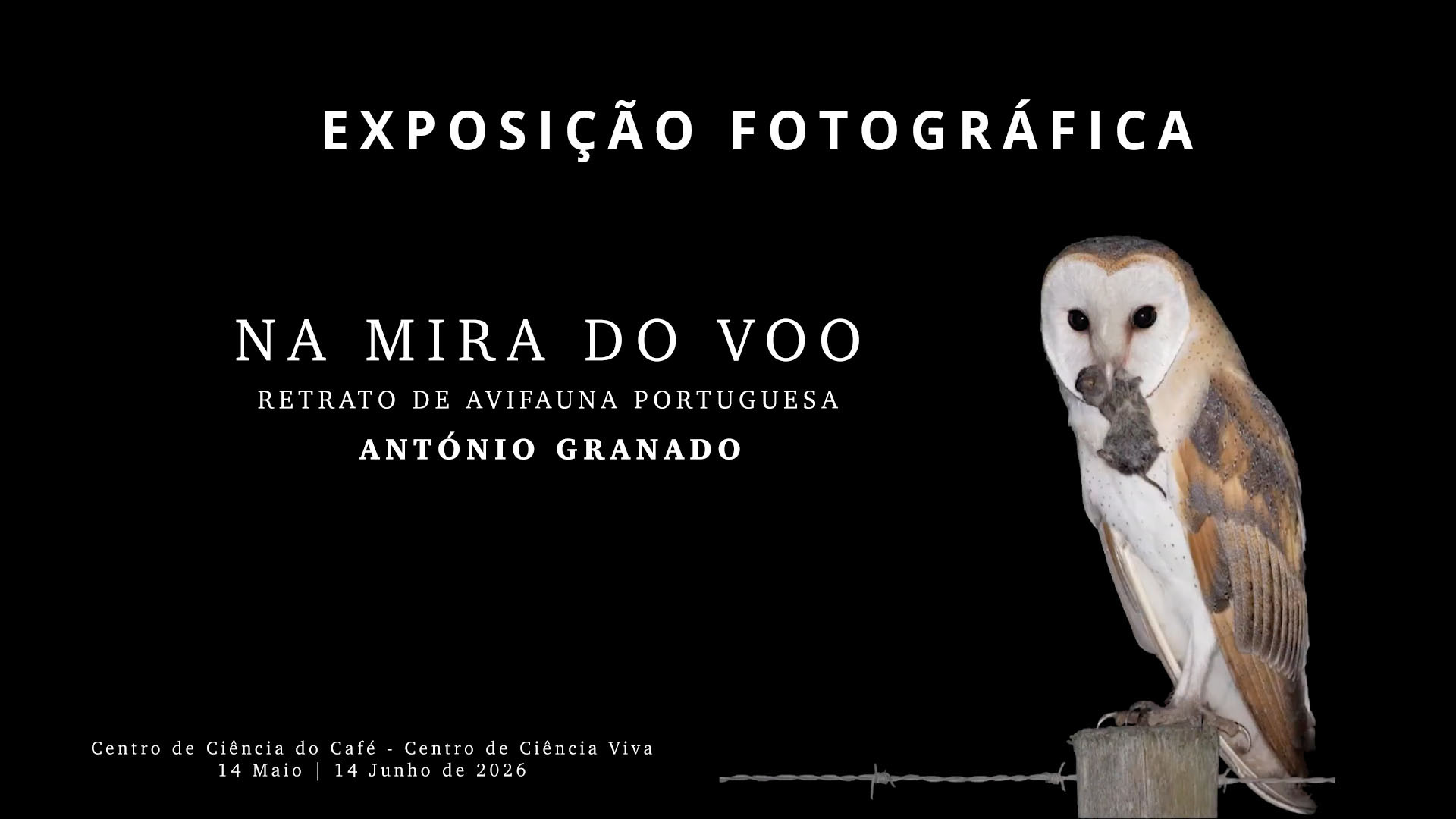 Na mira do Voo