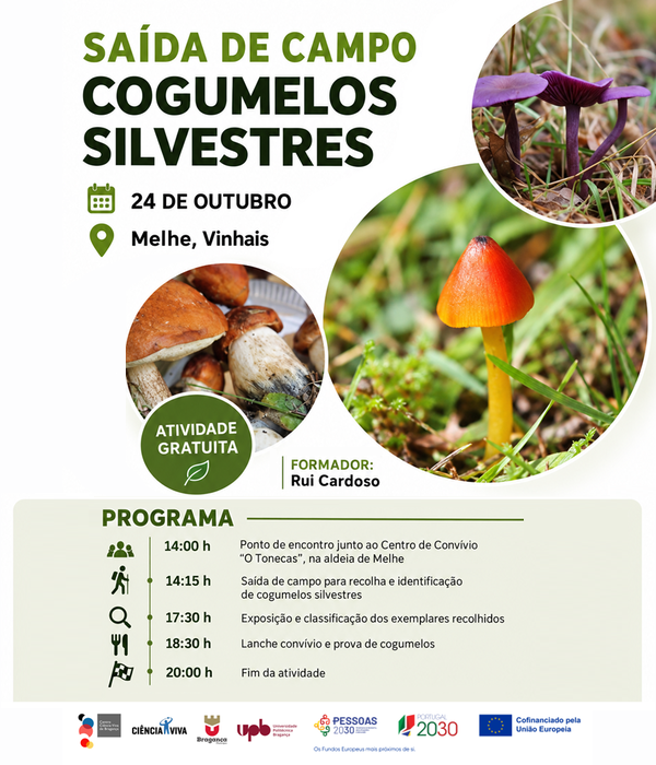Saída de campo - Cogumelos Silvestres - 24 de outubro