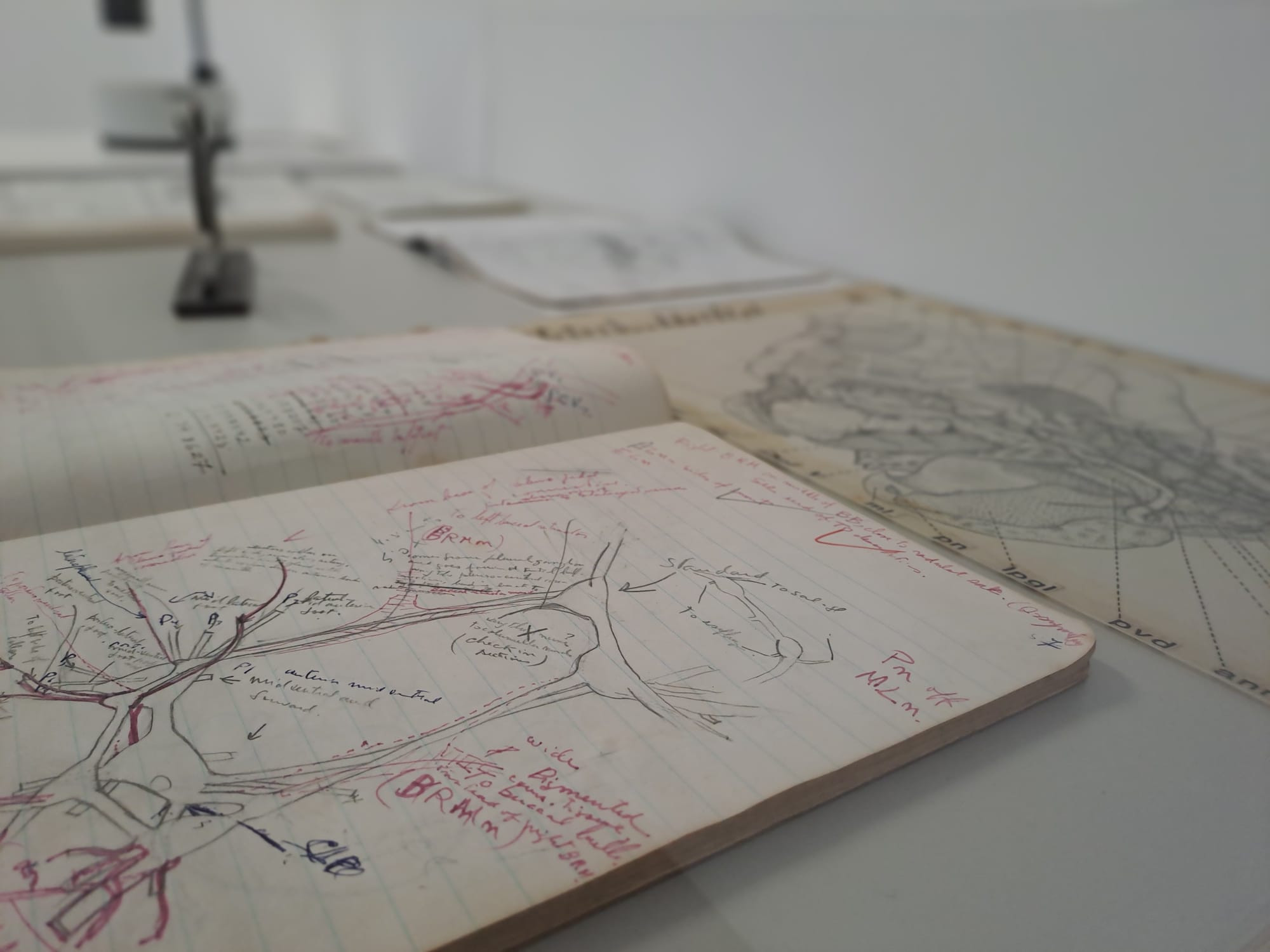 Ver para crer: Imagem como veículo de ciência