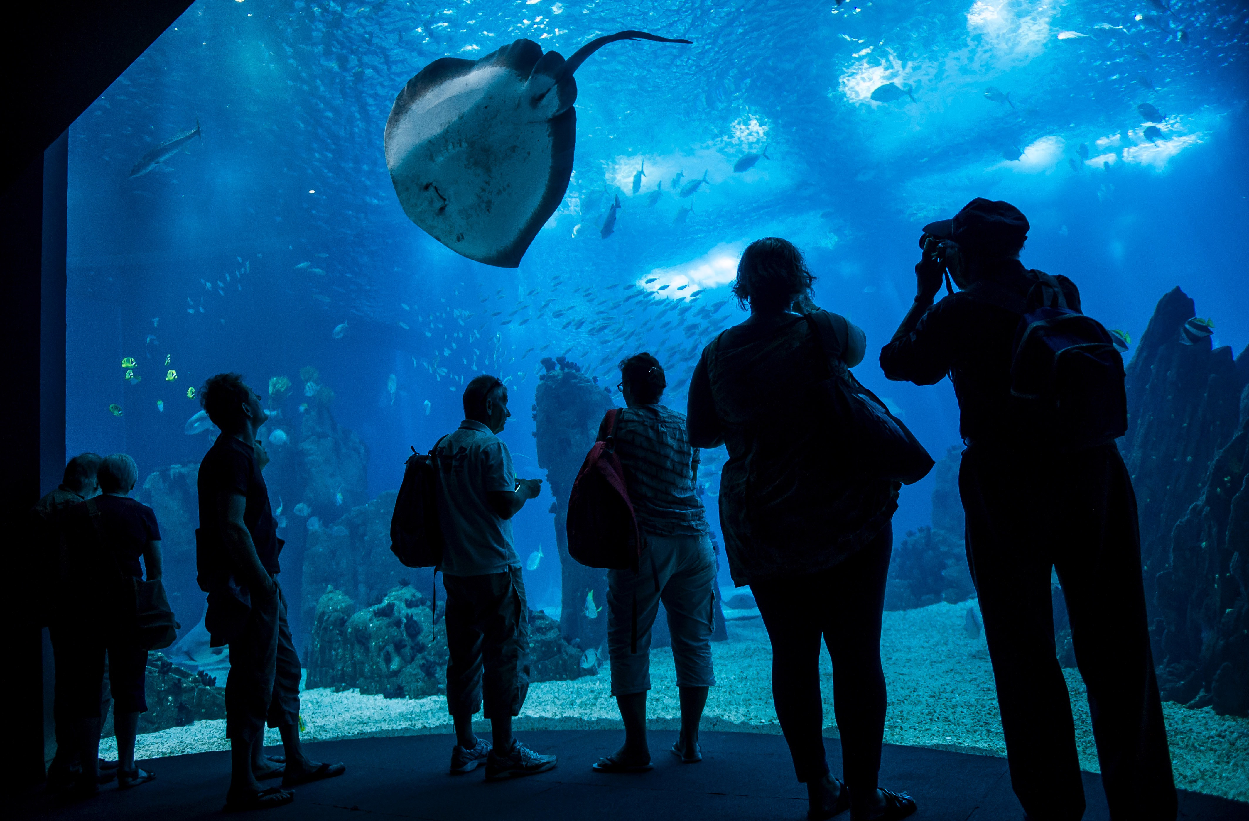 Oceanário de Lisboa