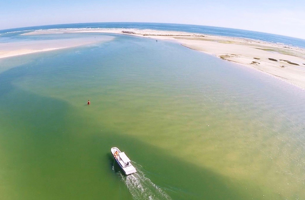 Passeios Ria Formosa