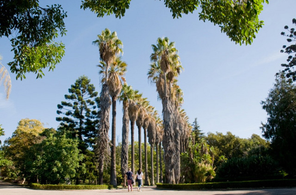 Jardim Botânico Tropical