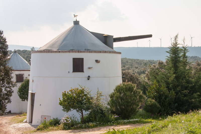 Moinhos da Pena e da Charruada