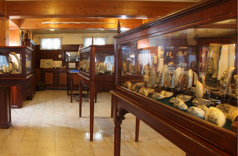Museu de Scrimshaw | Peter Café Sport