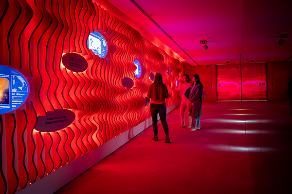 Exposição Interpretativa