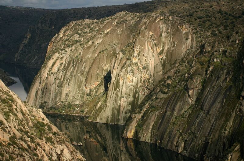 Oriolus, Ambiente e Eco Turismo Lda.