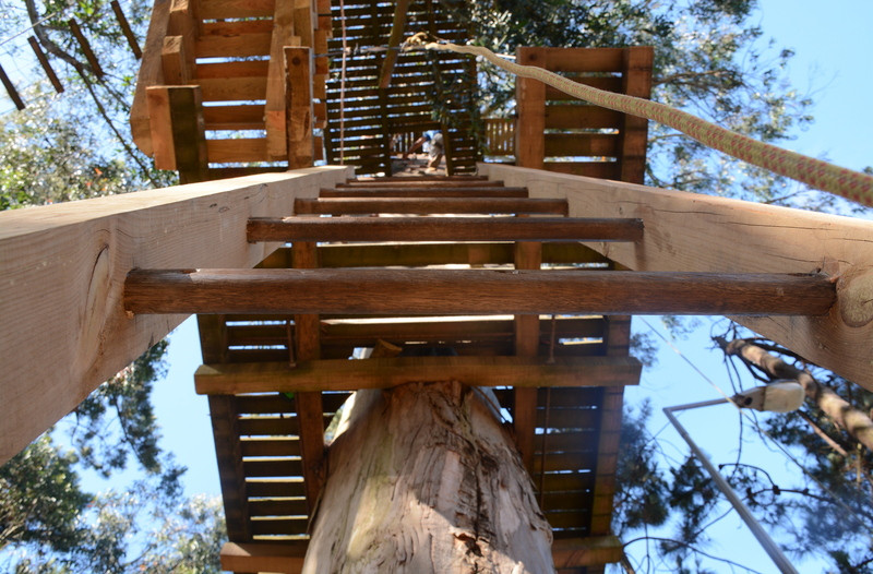 Azurara Parque Aventura