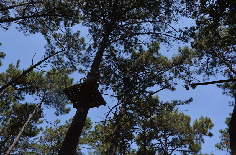 Azurara Parque Aventura