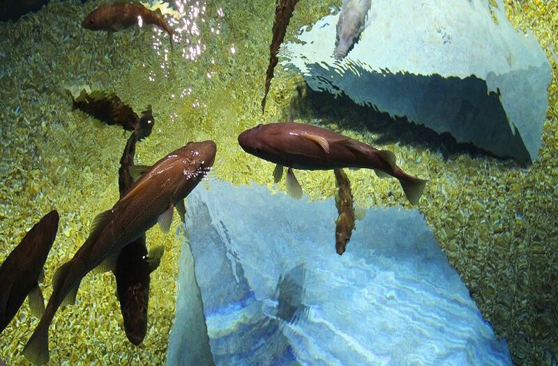 Museu Marítimo de Ílhavo