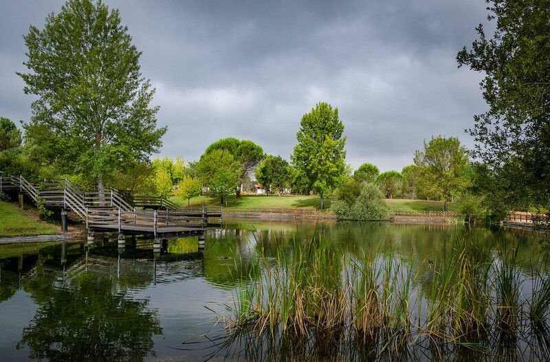 Borboletário Tropical