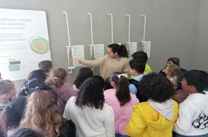 Lagar do Marmelo | Oliveira da Serra