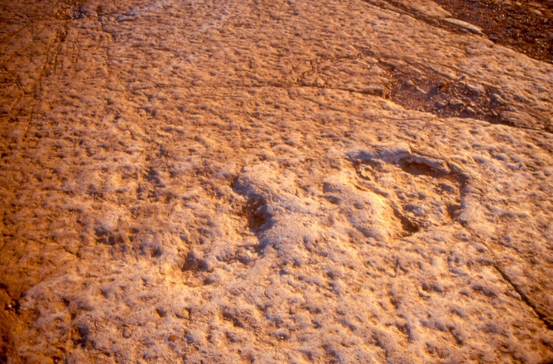 Monumento Natural das Pegadas de Dinossáurios