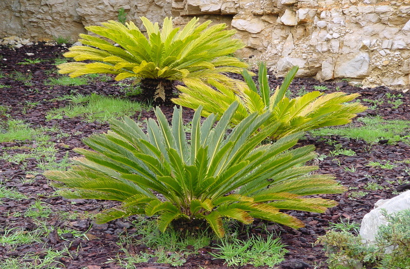 Monumento Natural das Pegadas de Dinossáurios