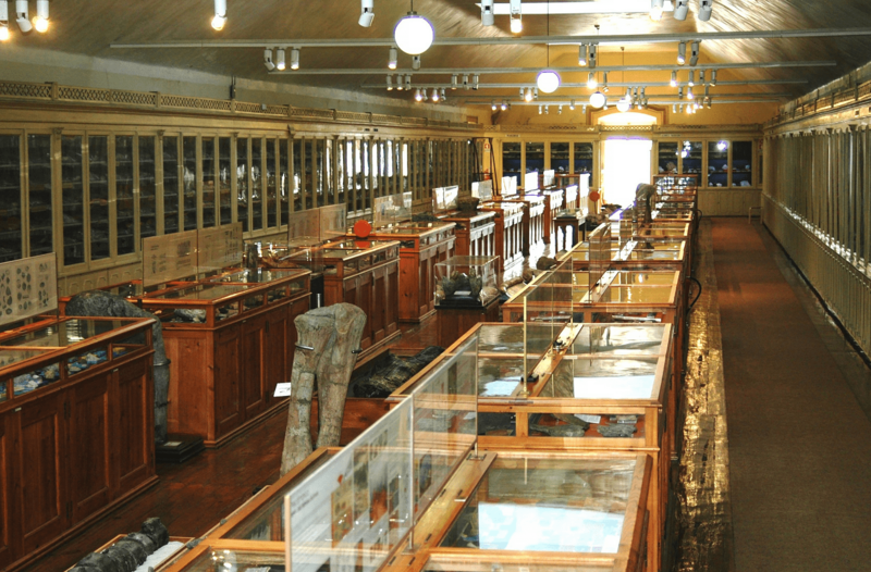 Museu Geológico