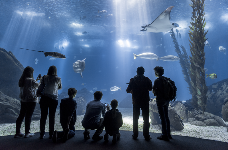 Oceanário de Lisboa