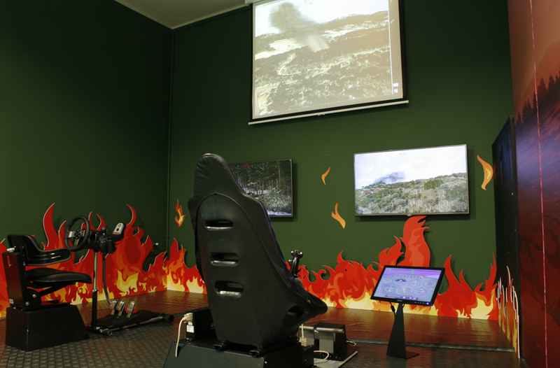 Incêndios Florestais