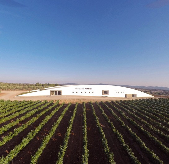 Tiago Cabaço Winery