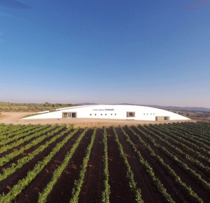 Tiago Cabaço Winery