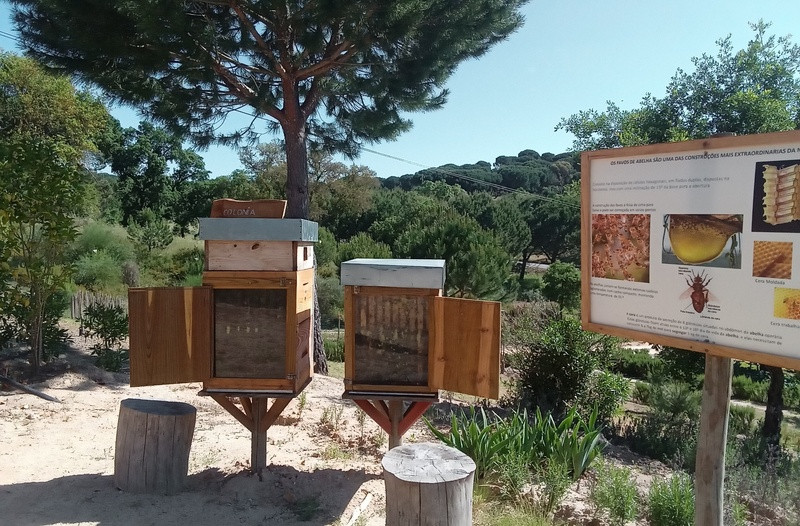 A Apicultora | Terra das Abelhas