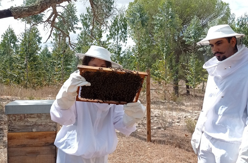 A Apicultora | Terra das Abelhas