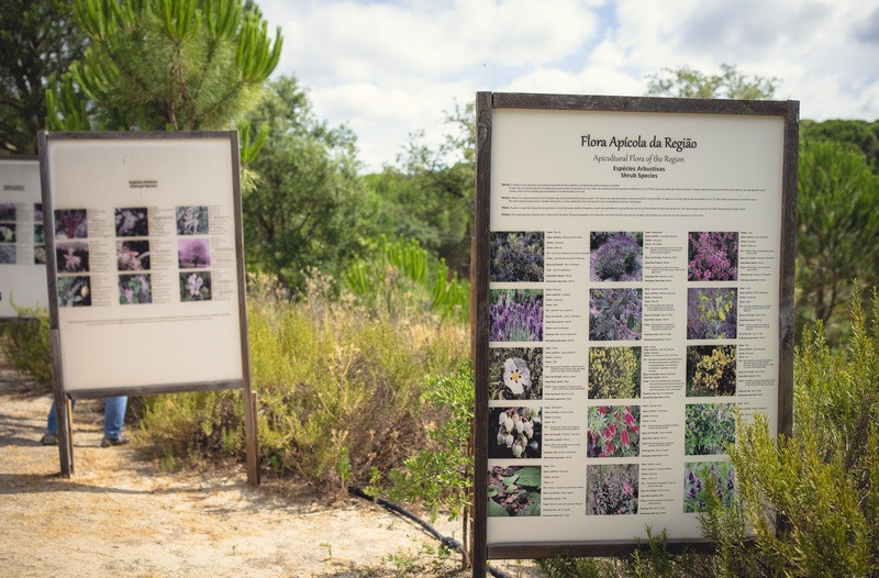 A Apicultora | Terra das Abelhas