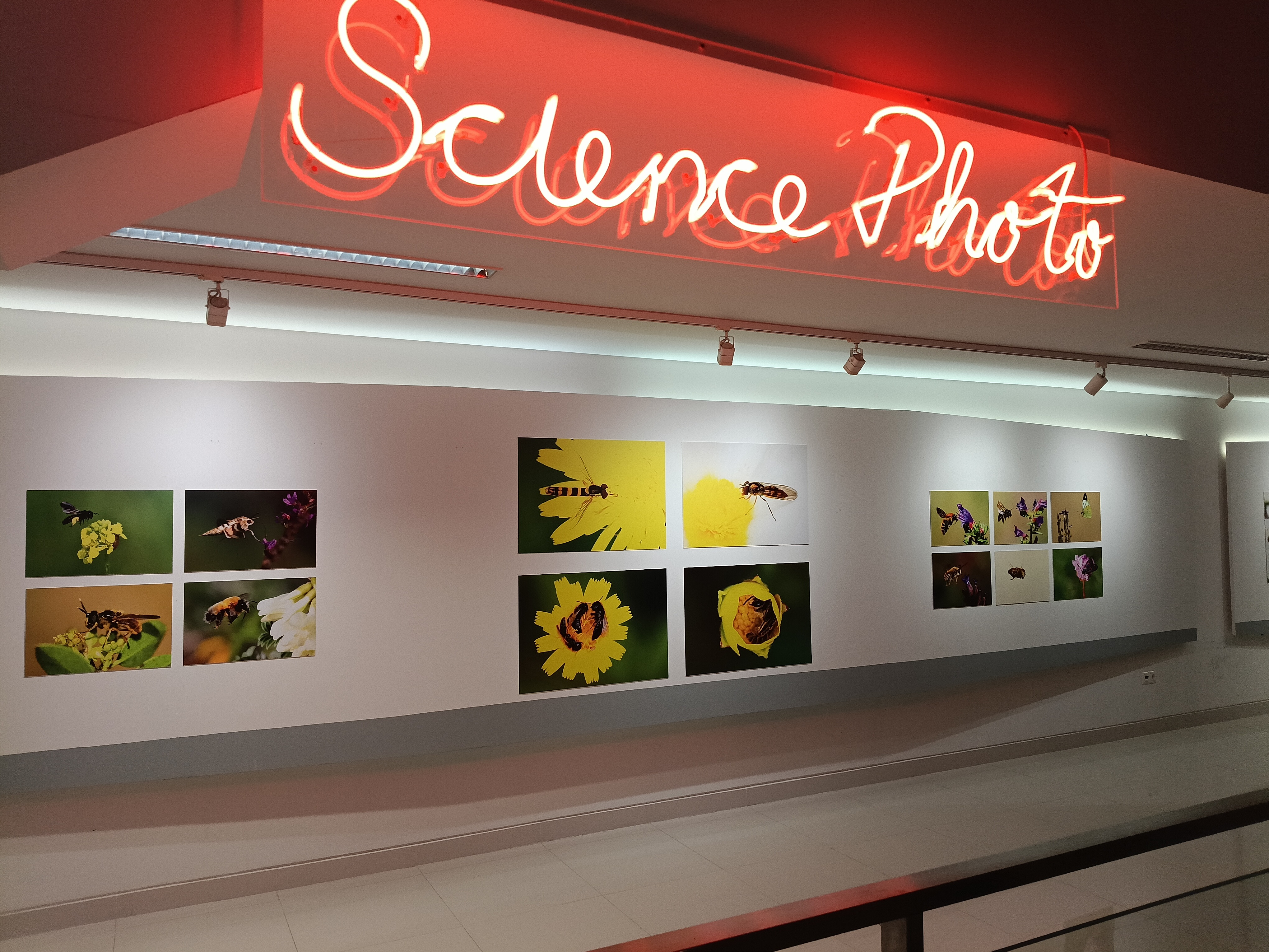 Science Photo Gallery