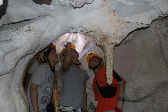 Exposição Quiroptário