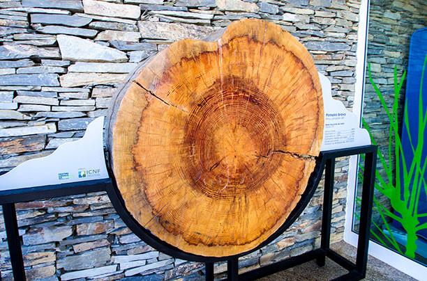 Centro Ciência Viva da Floresta  Proença-a-Nova