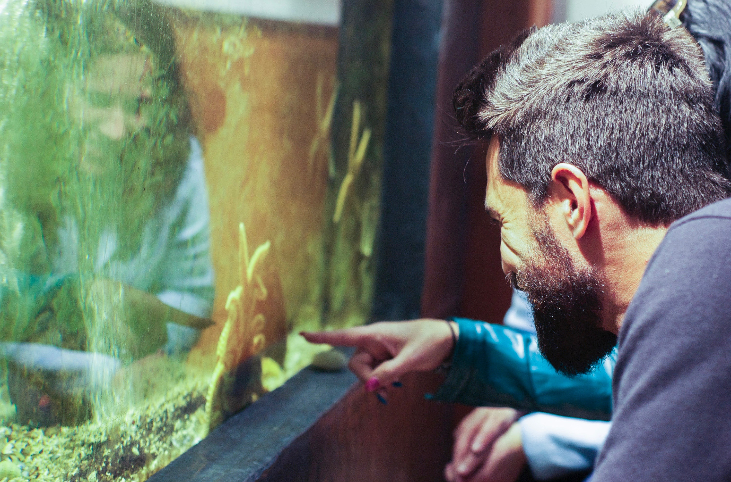 Centro Ciência Viva de Vila do Conde