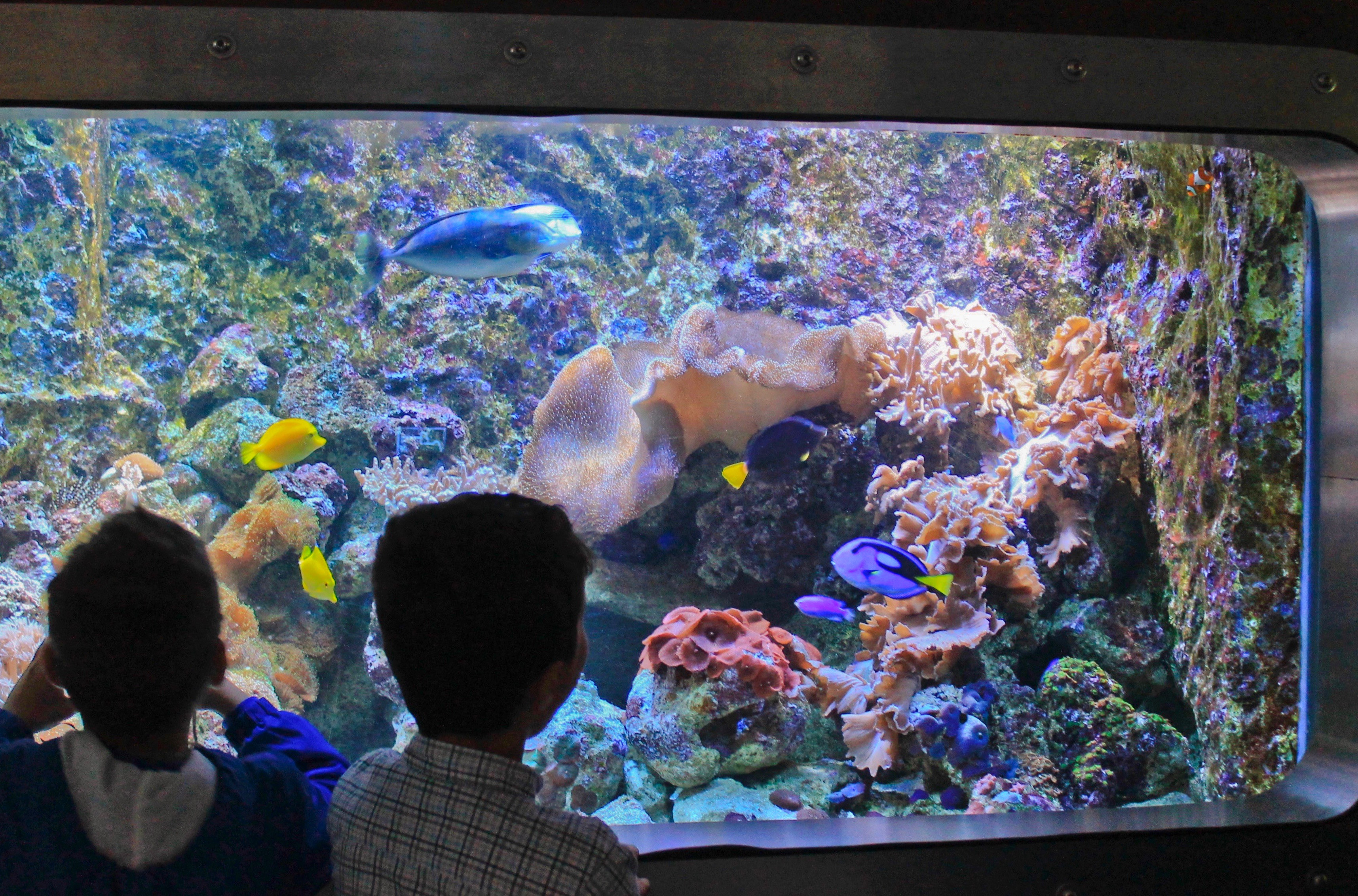 Centro Ciência Viva do Algarve - Faro