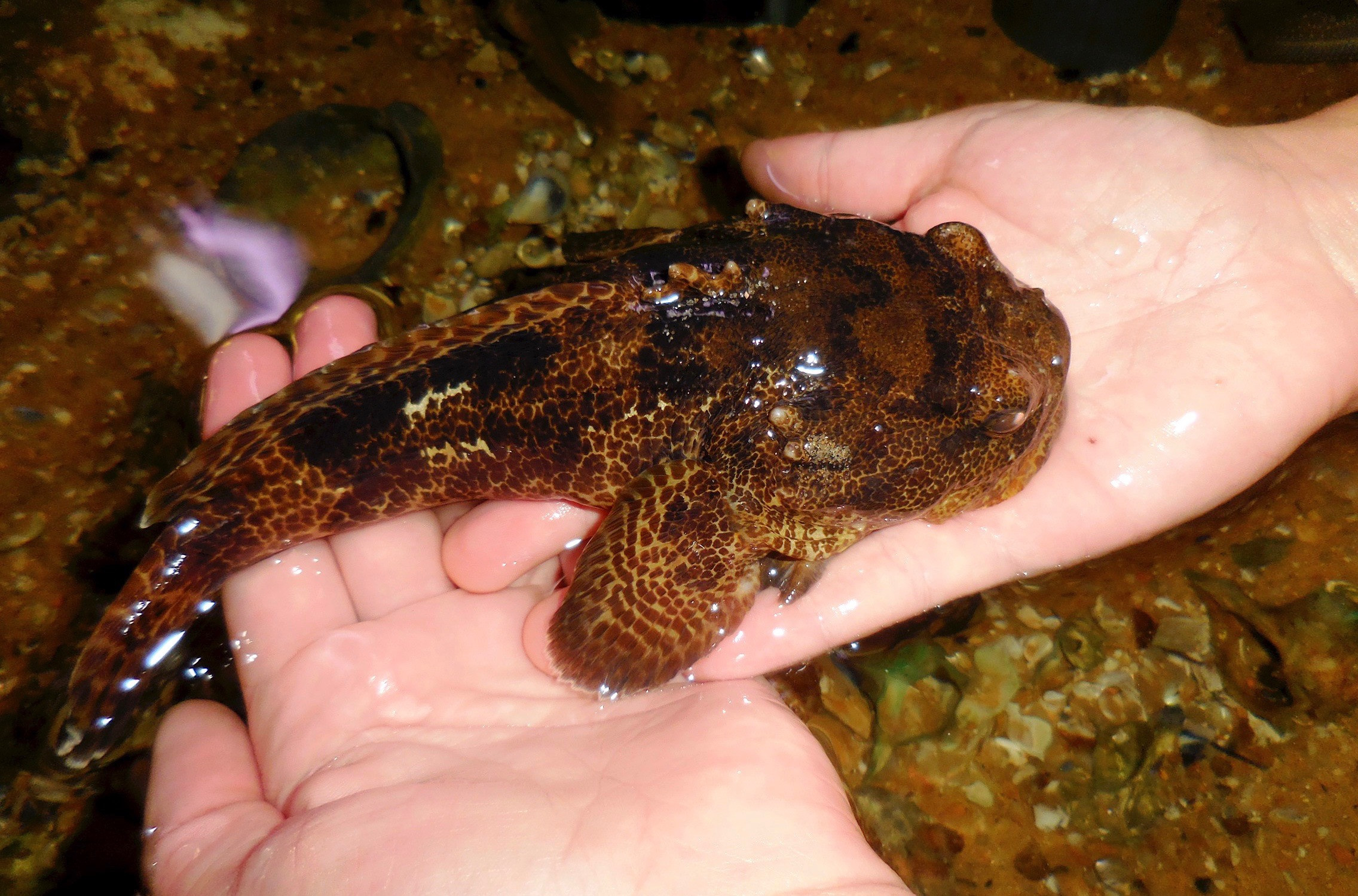 Centro Ciência Viva do Algarve - Faro