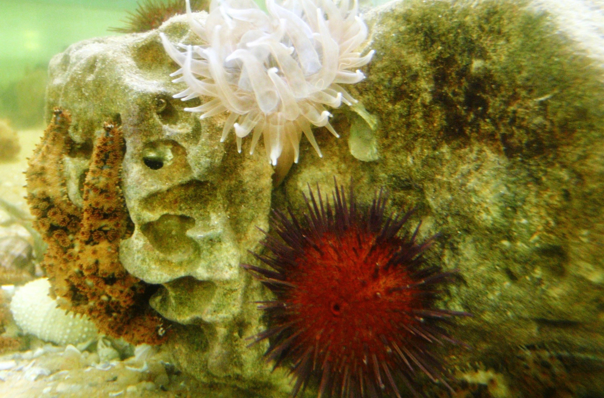 Centro Ciência Viva do Algarve - Faro