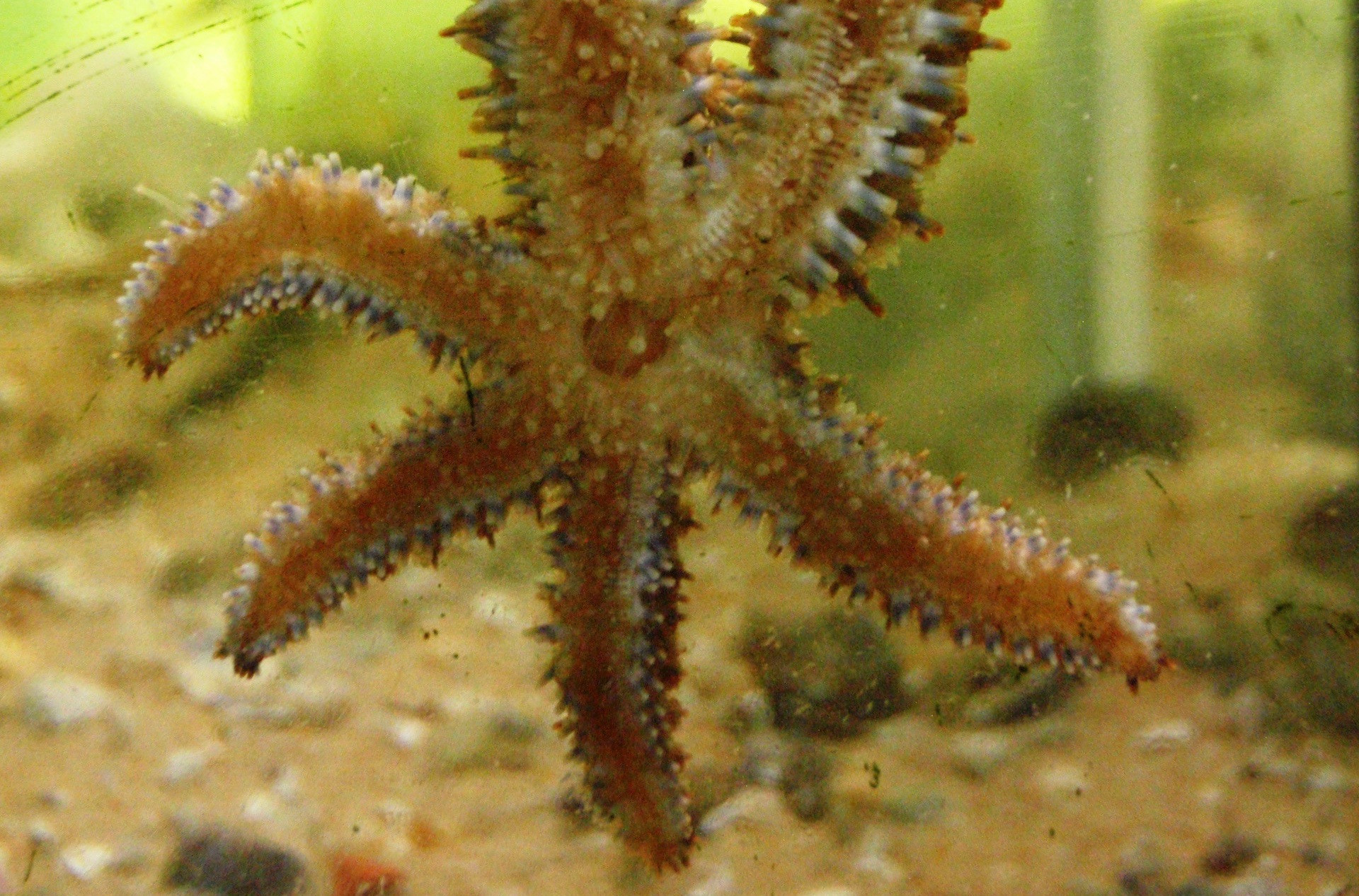 Centro Ciência Viva do Algarve - Faro