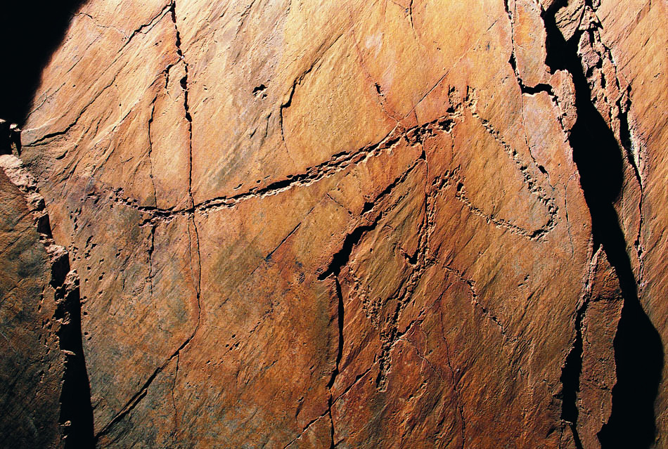 Museu do Côa - Centro Ciência Viva