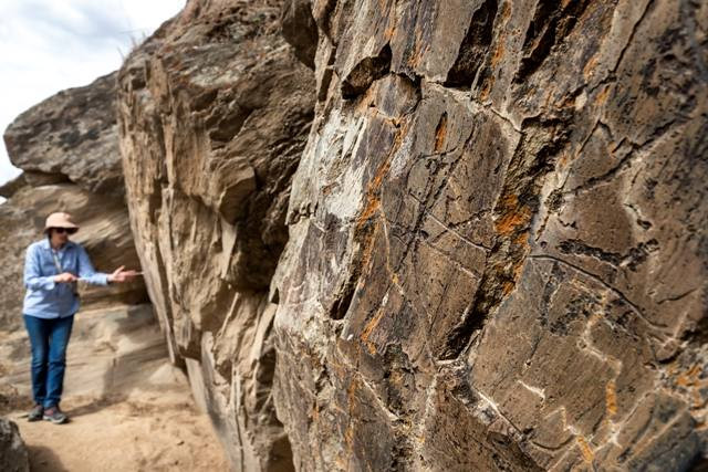 Museu do Côa - Centro Ciência Viva