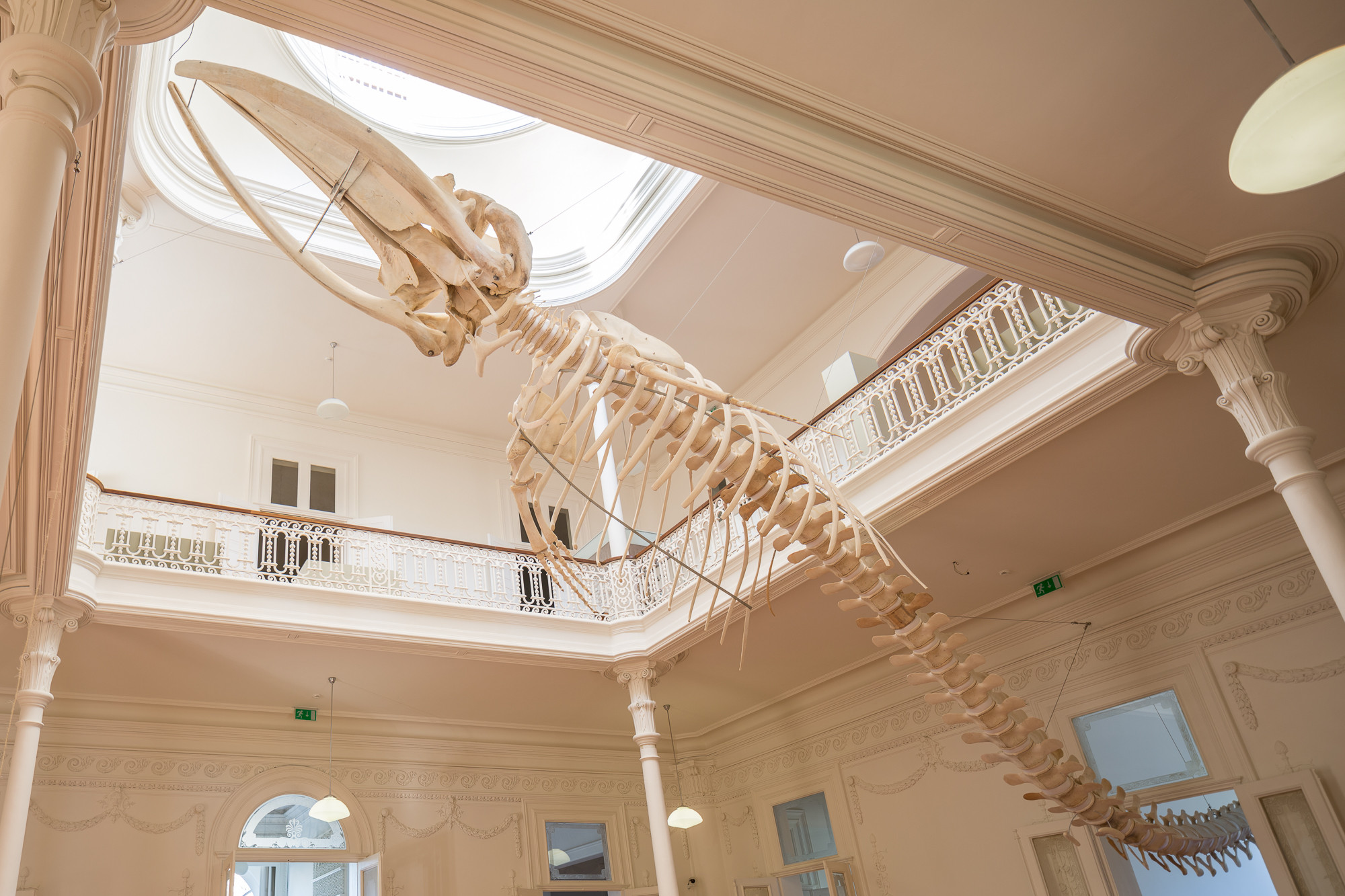 Galeria da Biodiversidade - Centro Ciência Viva