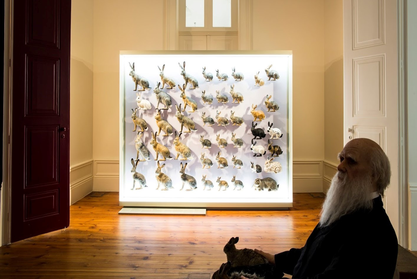 Galeria da Biodiversidade - Centro Ciência Viva