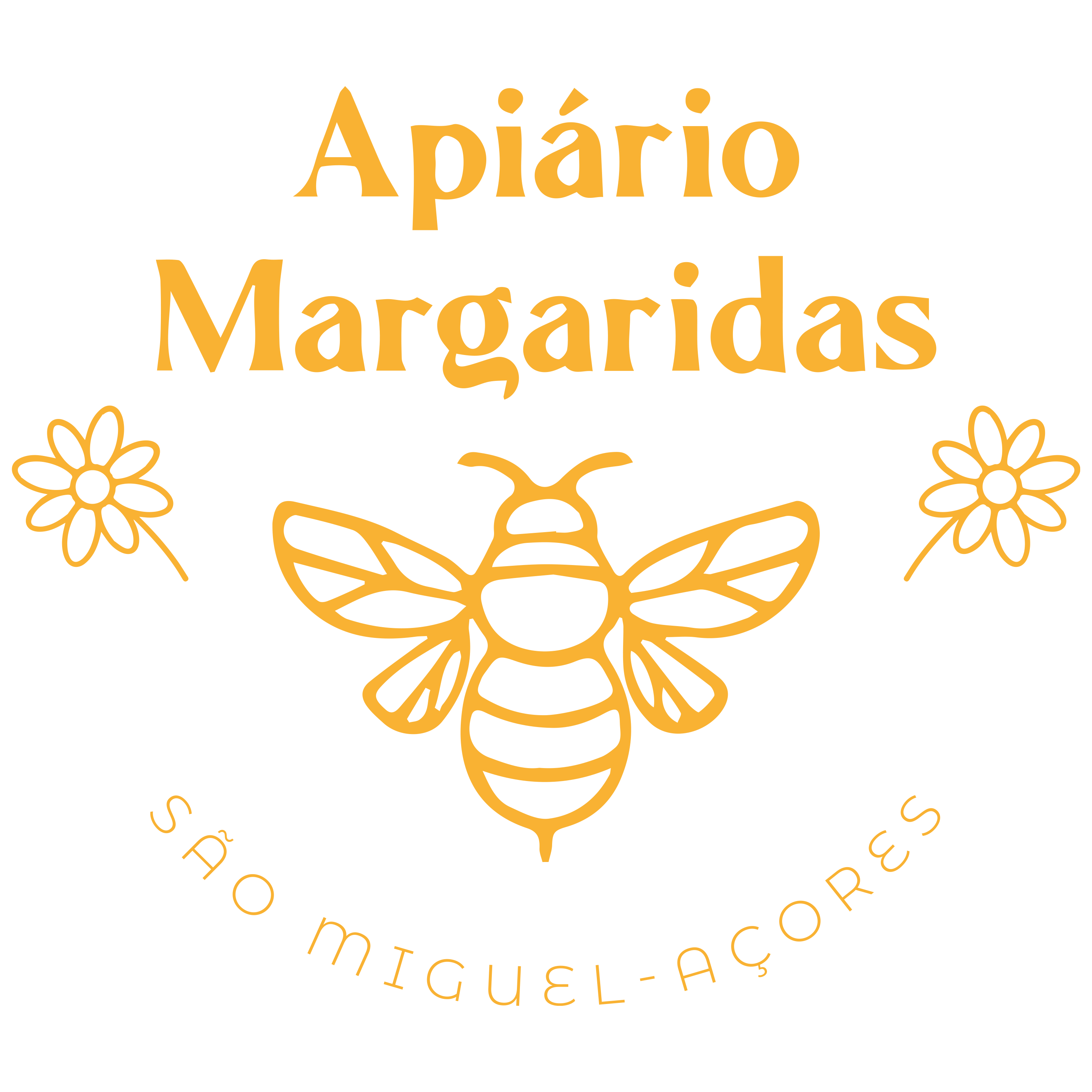 Apiário Margaridas