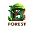 Bforest - Alojamento Rural